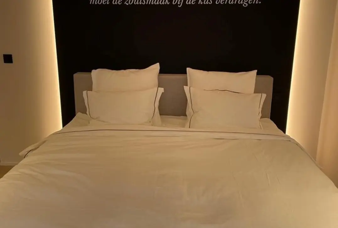 Gerenoveerde woning met hoge charmefactor op toplocatie - Nieuwpoort