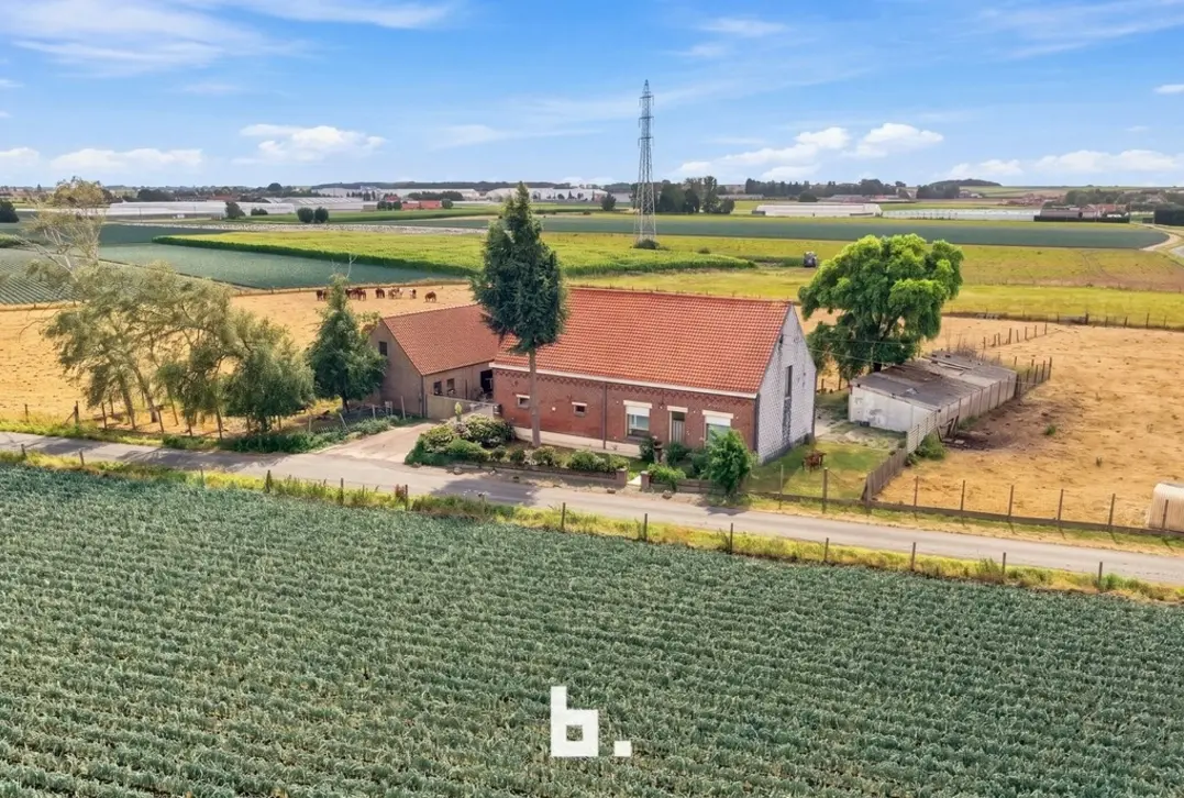 Prachtig gelegen hoeve met bijgebouwen op circa 1,85 hectare - Staden