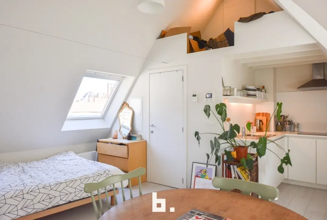 Prachtige instapklare studio/studentenkamer - GEEN DOMICILIE MOGELIJK!  - Brugge
