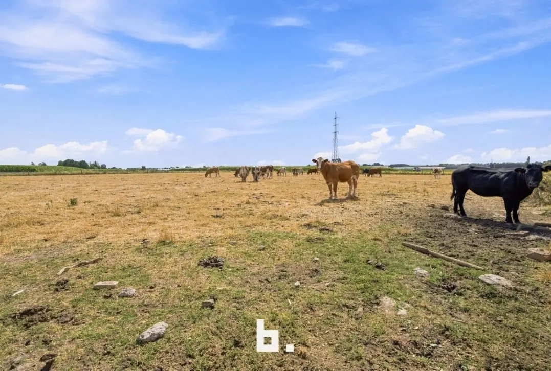 Prachtig gelegen hoeve met bijgebouwen op circa 1,85 hectare - Staden