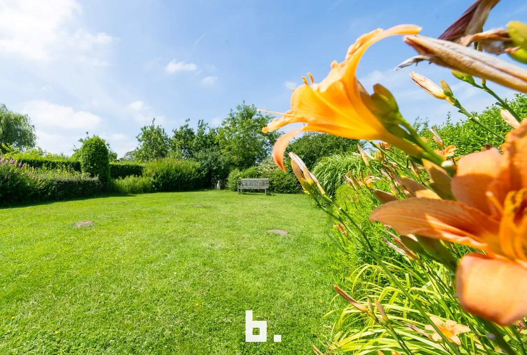 Open bebouwing met veel potentieel op een prachtig groen perceel in Oudenburg - Oudenburg