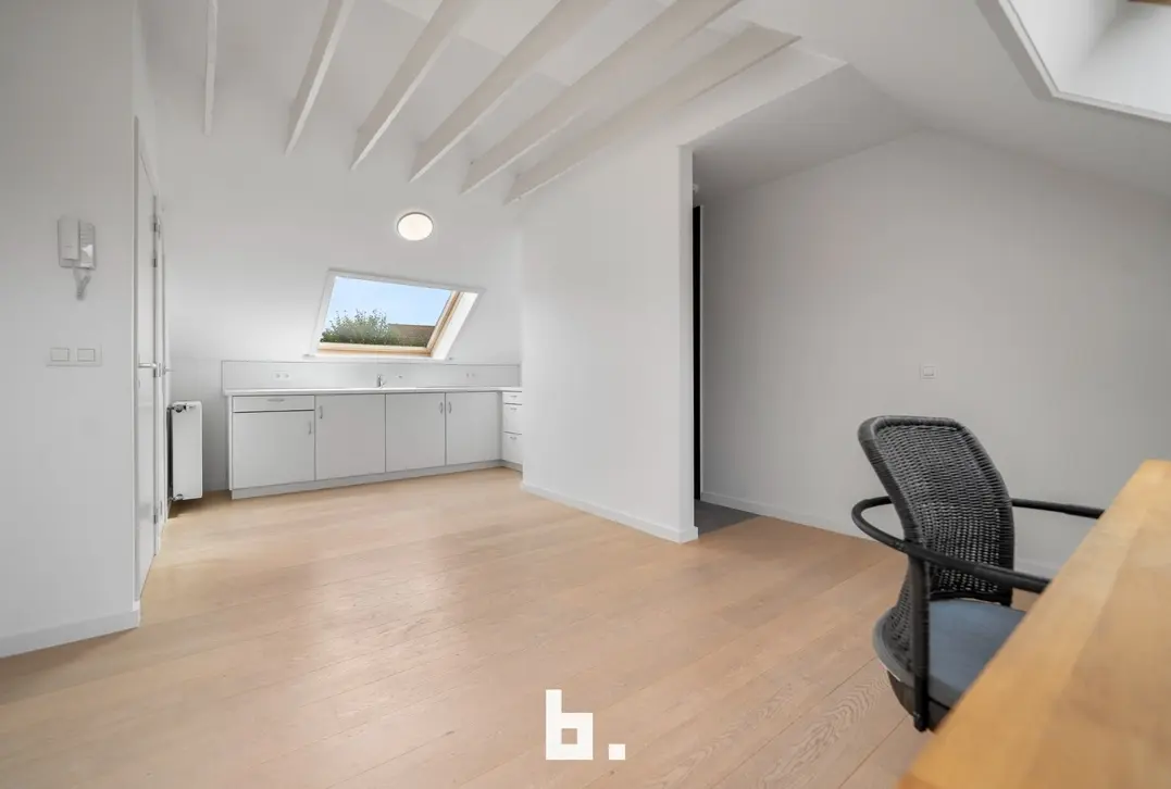Instapklare woning met garage nabij de Coupure. - Brugge