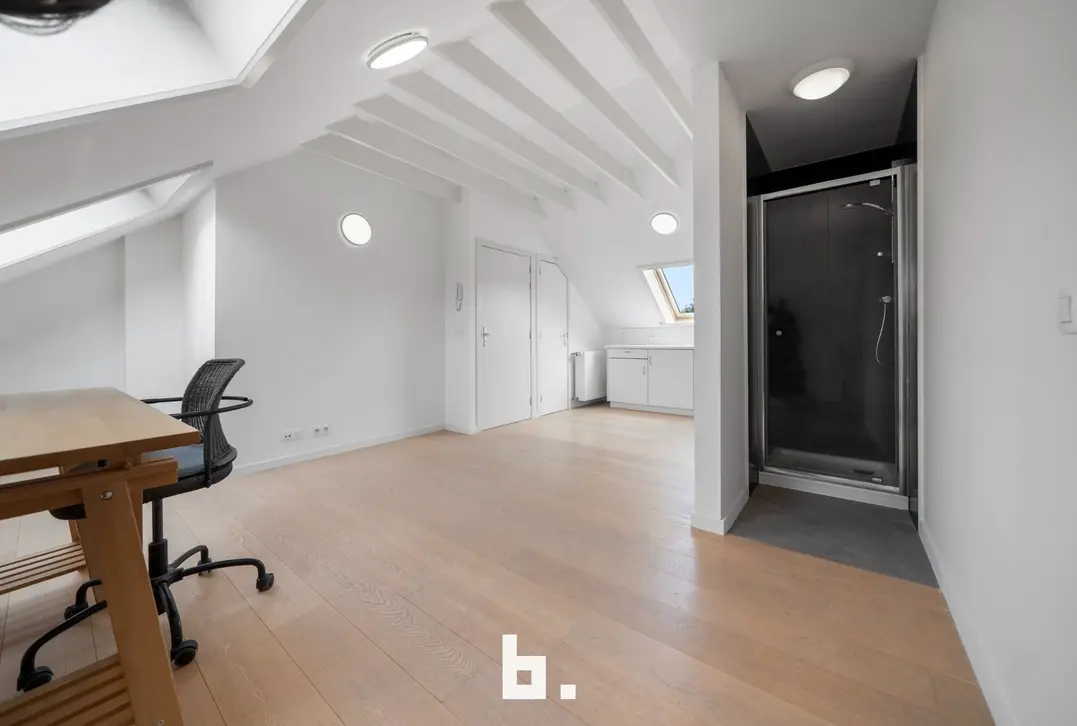 Instapklare woning met garage nabij de Coupure. - Brugge