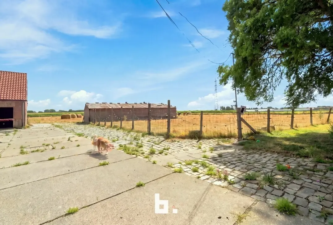 Prachtig gelegen hoeve met bijgebouwen op circa 1,85 hectare - Staden