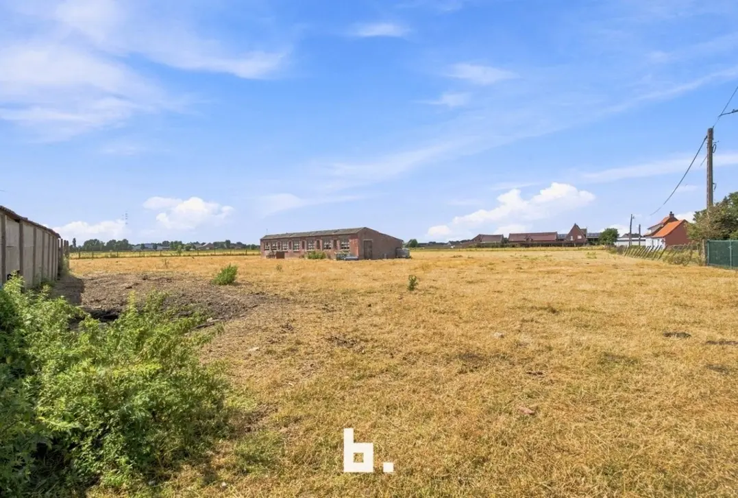 Prachtig gelegen hoeve met bijgebouwen op circa 1,85 hectare - Staden
