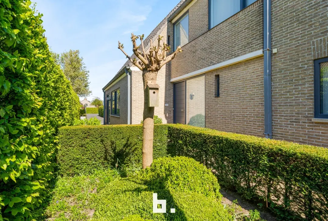 Uitzonderlijk ruime villa met praktijkruimte - Varsenare