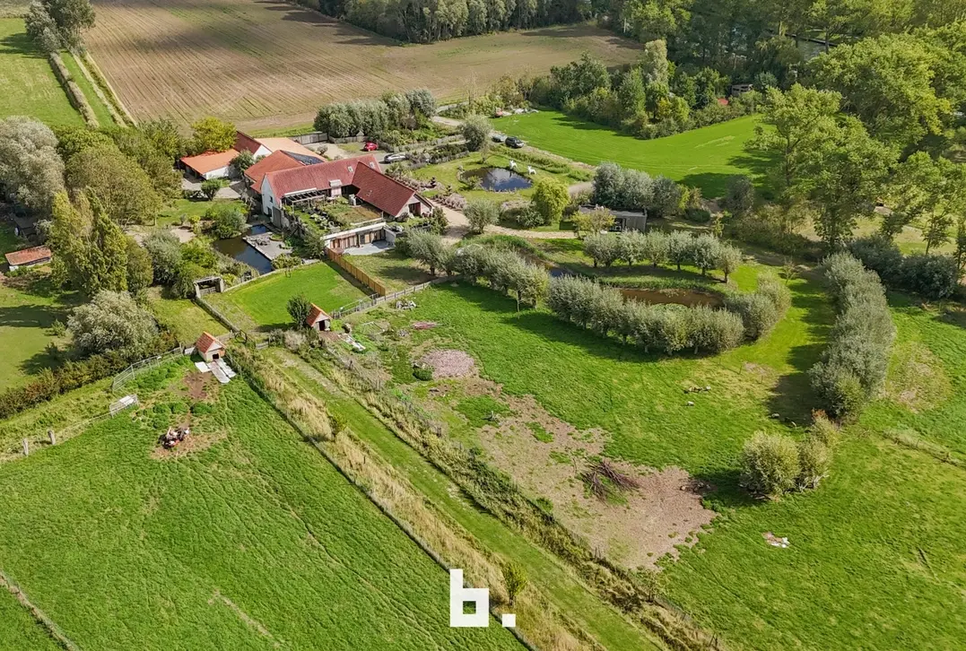 Uniek domein op 4,68 hectare met 4 vergunde vakantieunits - Brugge