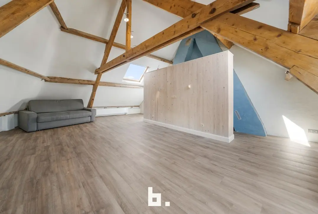 Prachtige, ruime instapklare woning gelegen aan de Brugse stadsrand. - Brugge