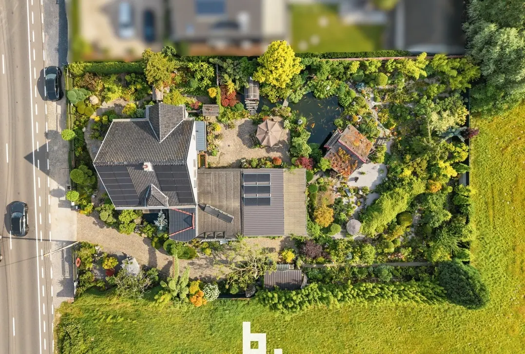 Brugsesteenweg 386, 8520 Kuurne villa te koop in kuurne, unieke tuin, japanse tuin kuurne