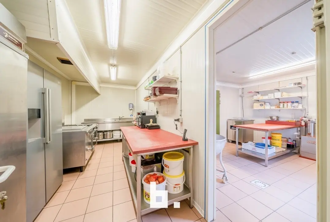 Handelshuis met grote woonst en atelier  - Roeselare