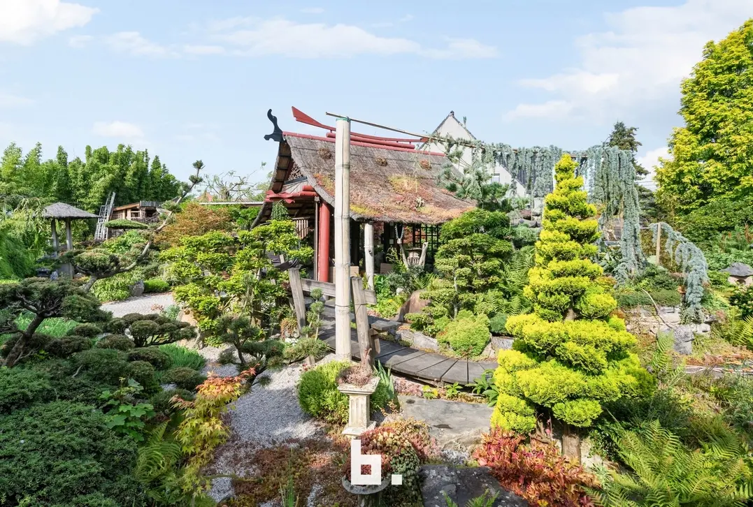 Brugsesteenweg 386, 8520 Kuurne villa te koop in kuurne, unieke tuin, japanse tuin kuurne