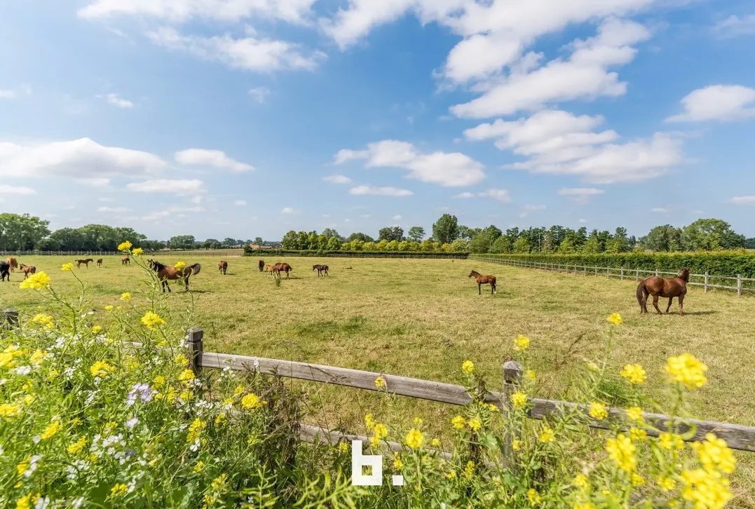 Energiezuinige, kwaliteitsvolle nieuwbouw woning - Hooglede
