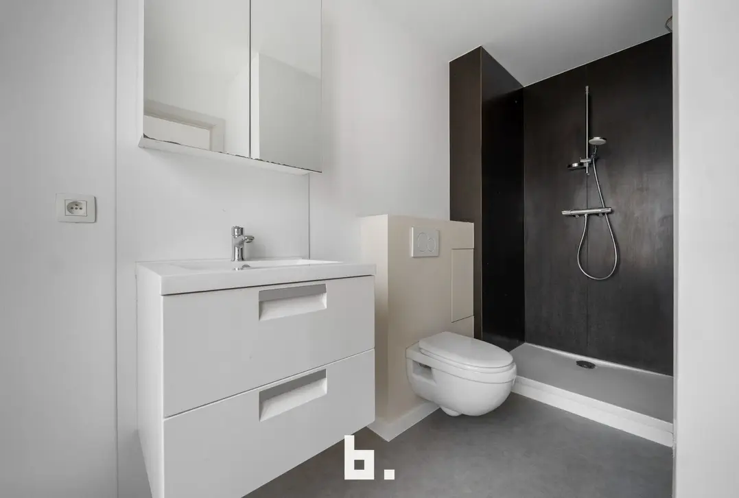 Instapklare woning met garage nabij de Coupure. - Brugge