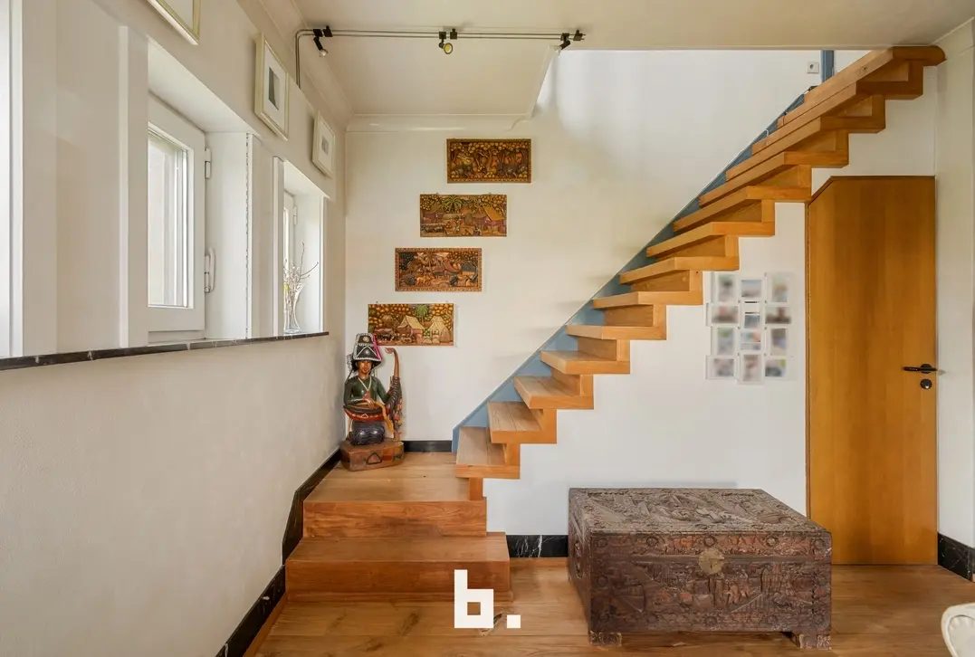 Brugsesteenweg 386, 8520 Kuurne villa te koop in kuurne, unieke tuin, japanse tuin kuurne