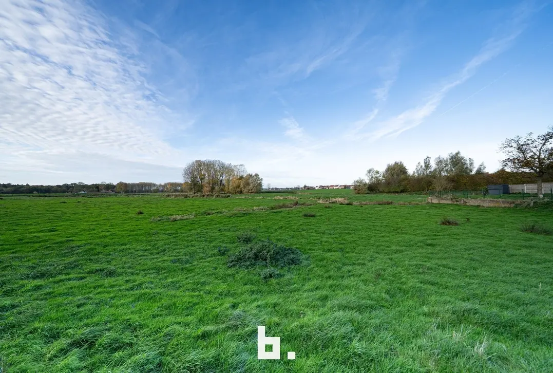 Ruime te renoveren woning boordevol potentieel - Oostkamp