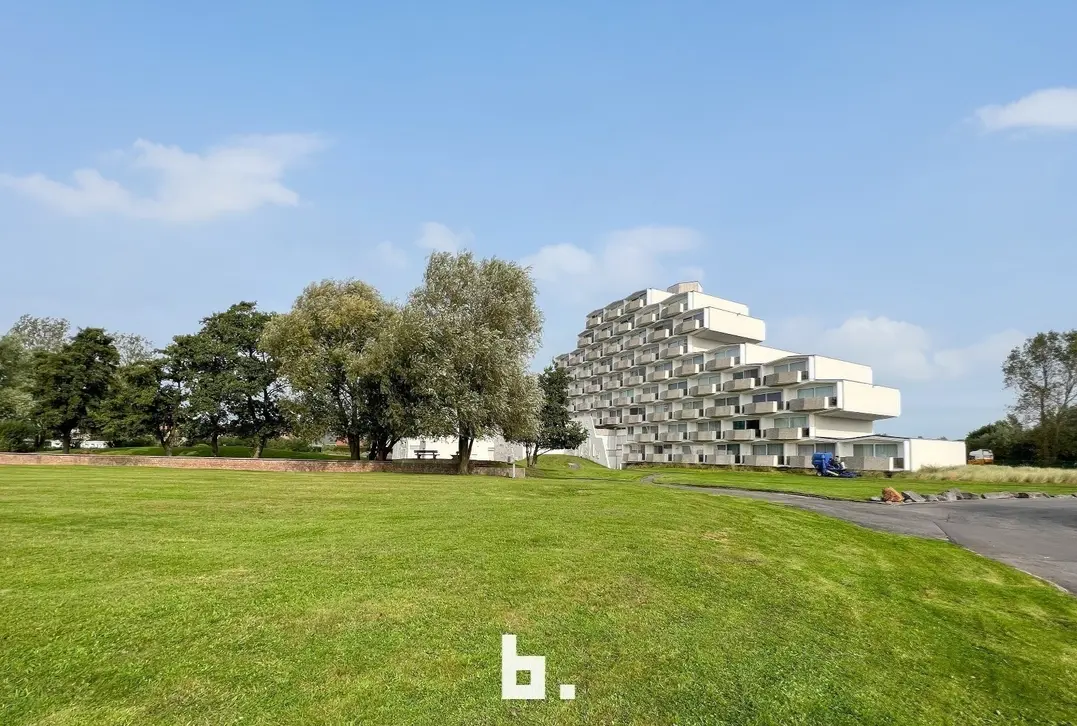 Volledig gerenoveerd 2 slaapkamer appartement met ruime terrassen - De Haan