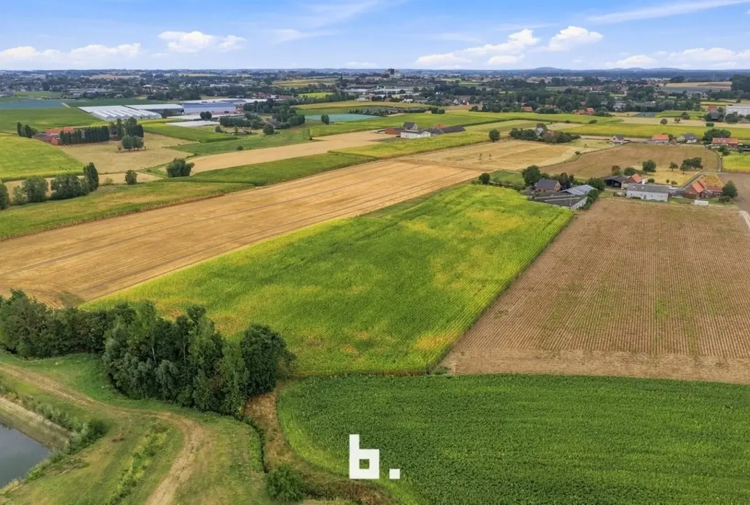 Unieke landelijke eigendom met loods op ruim 2,3 hectare - Kortemark