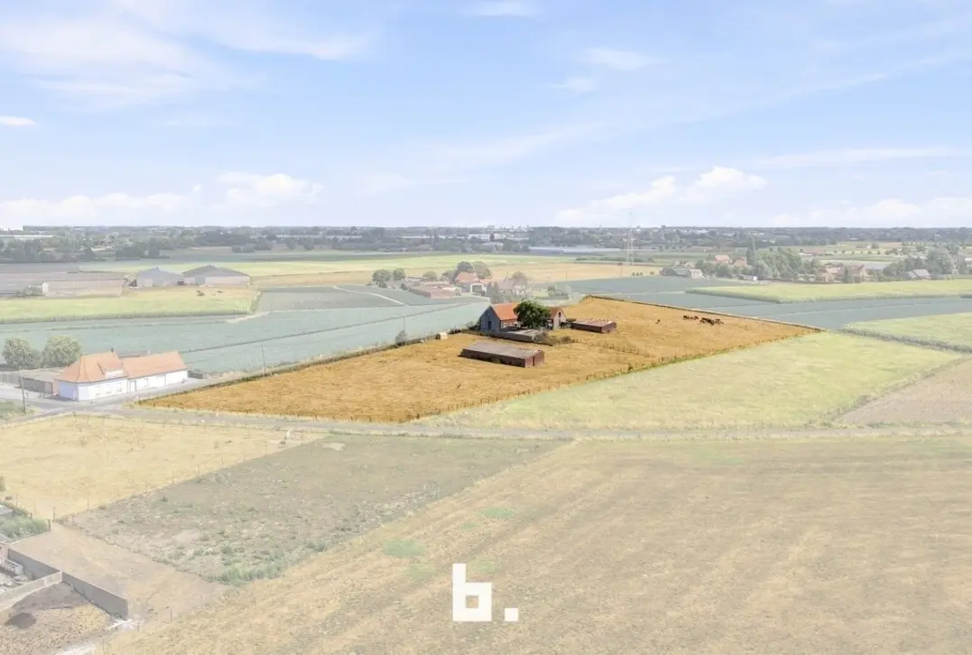 Prachtig gelegen hoeve met bijgebouwen op circa 1,85 hectare - Staden