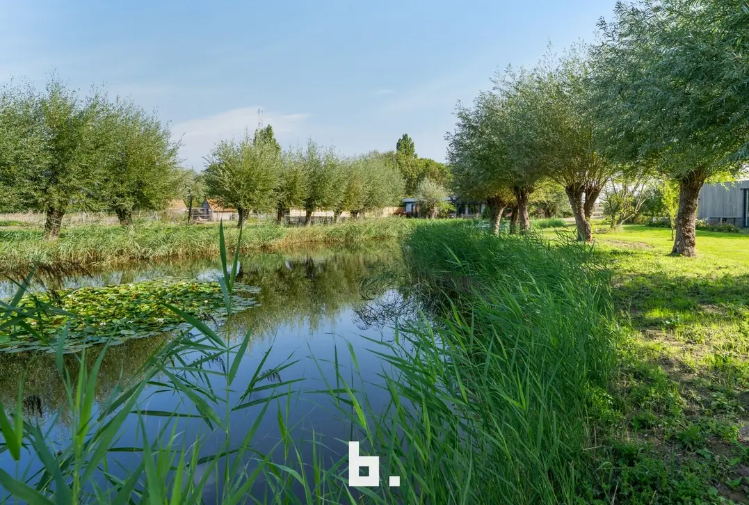 Uniek domein op 4,68 hectare met 4 vergunde vakantieunits - Brugge