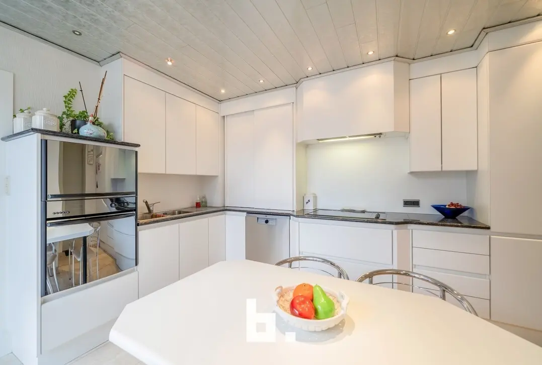 Grote woonst met atelier  - Roeselare