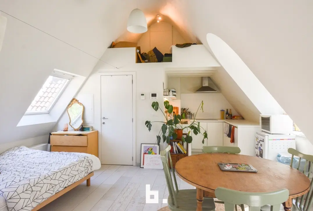 Prachtige instapklare studio/studentenkamer - GEEN DOMICILIE MOGELIJK!  - Brugge