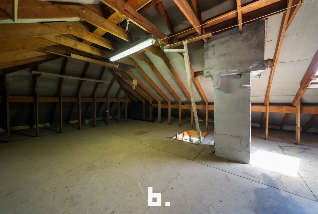 Alleenstaande villa, omgeven door groen - Blankenberge