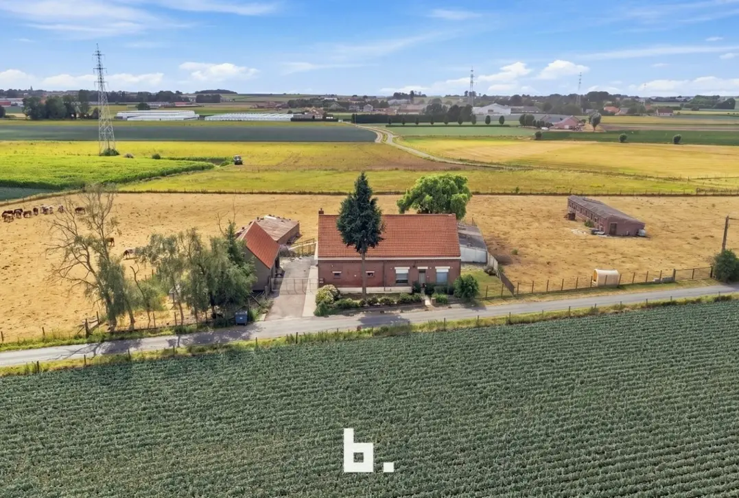 Prachtig gelegen hoeve met bijgebouwen op circa 1,85 hectare - Staden