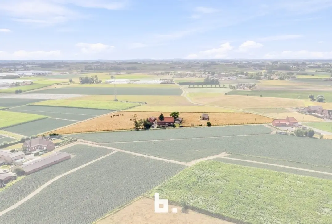 Prachtig gelegen hoeve met bijgebouwen op circa 1,85 hectare - Staden