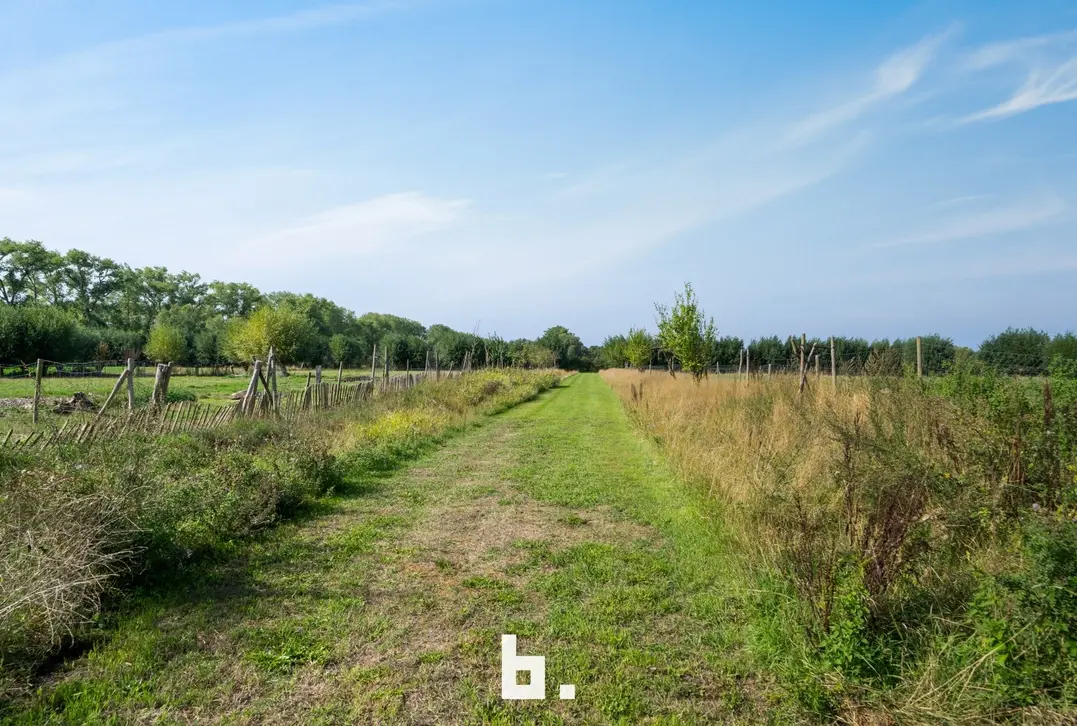 Uniek domein op 4,68 hectare met 4 vergunde vakantieunits - Brugge