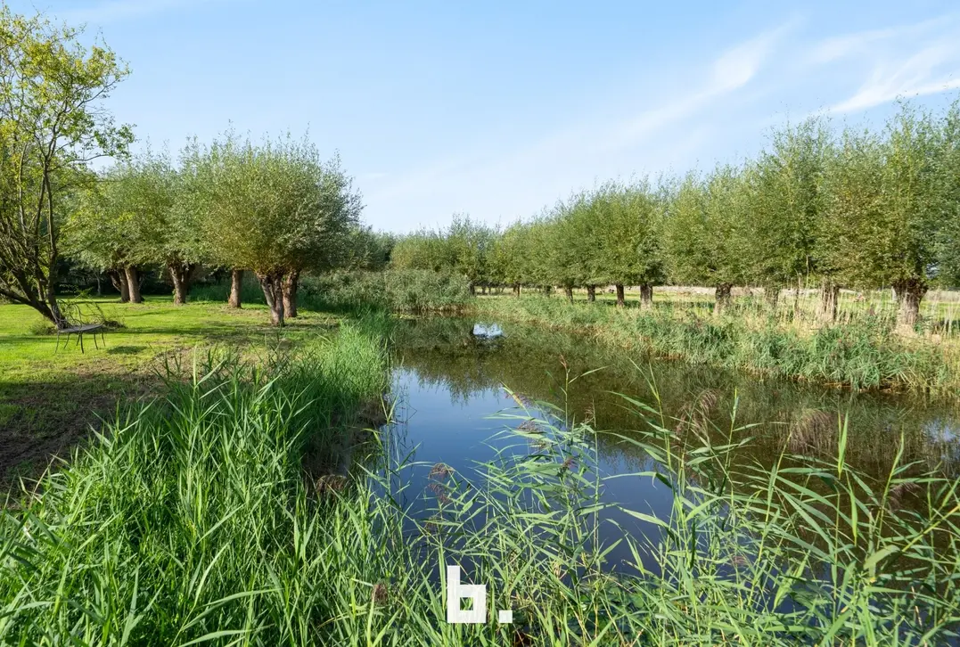 Uniek domein op 4,68 hectare met 4 vergunde vakantieunits - Brugge