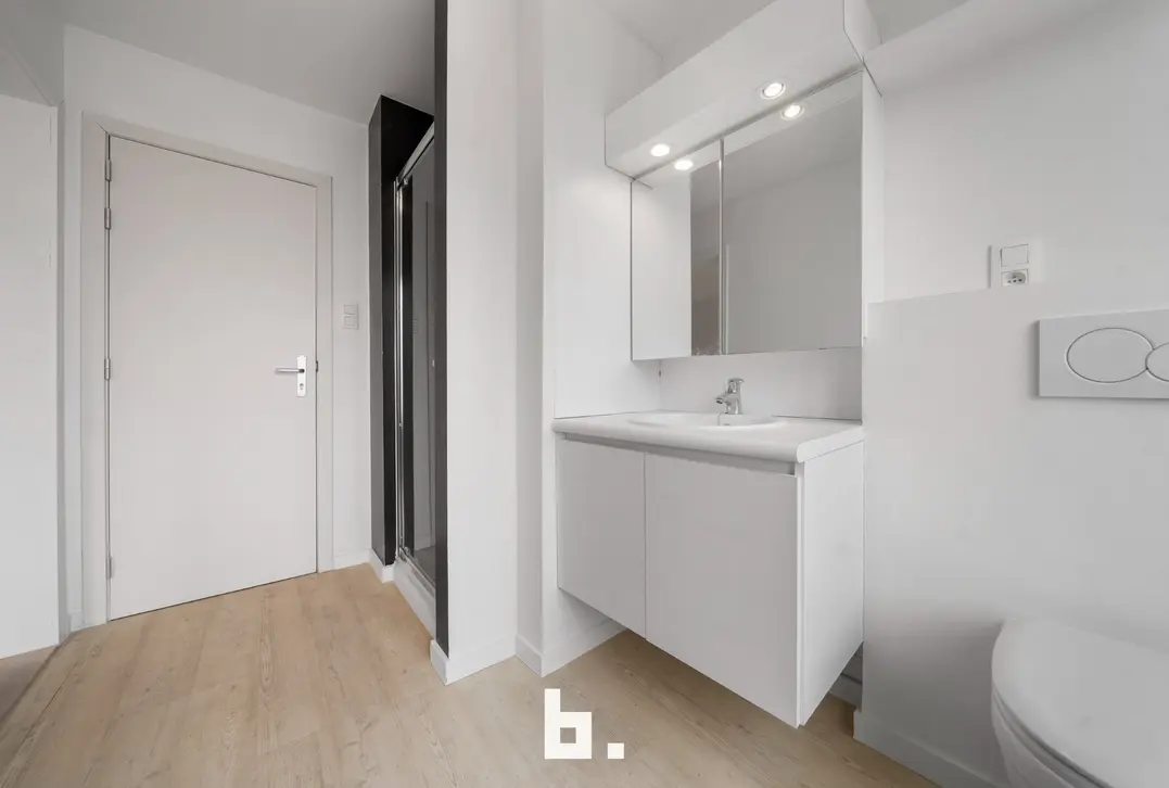 Instapklare woning met garage nabij de Coupure. - Brugge