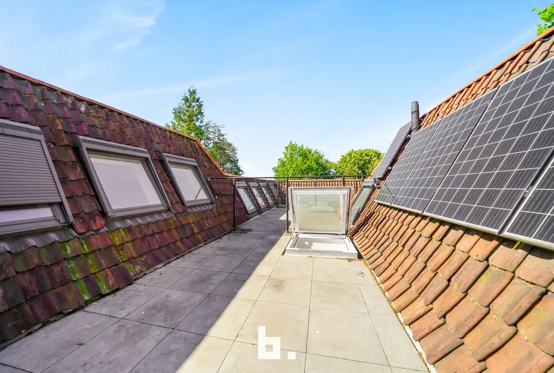 Moderne en ruime woning in hartje Brugge - Brugge