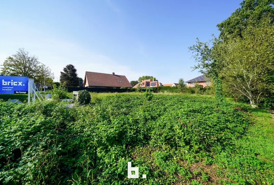 Zichtlocatie met mogelijkheid tot handel en wonen - Astene