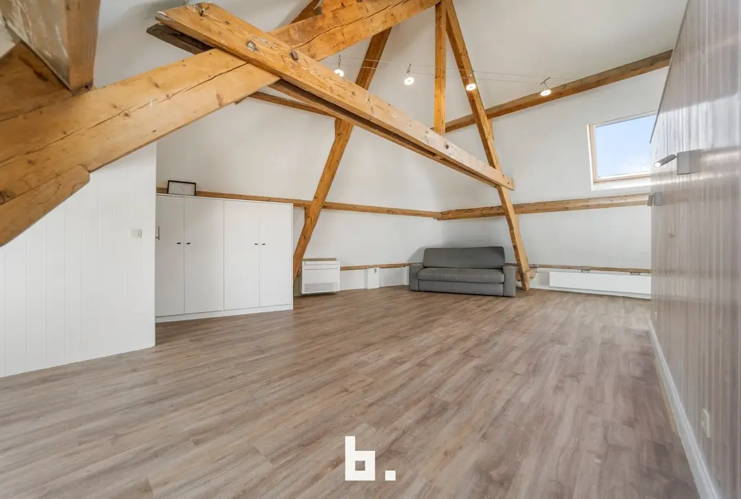Prachtige, ruime instapklare woning gelegen aan de Brugse stadsrand. - Brugge