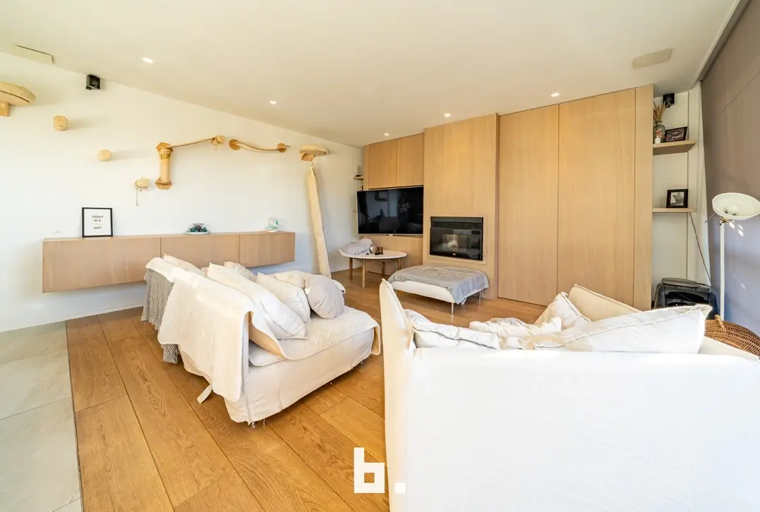 Luxueuze loods met appartement - Jabbeke