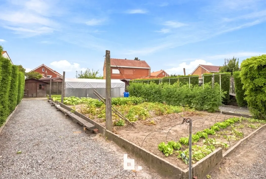 Te renoveren halfopen bebouwing met 3 garages op een perceel van 668 m² - Roeselare