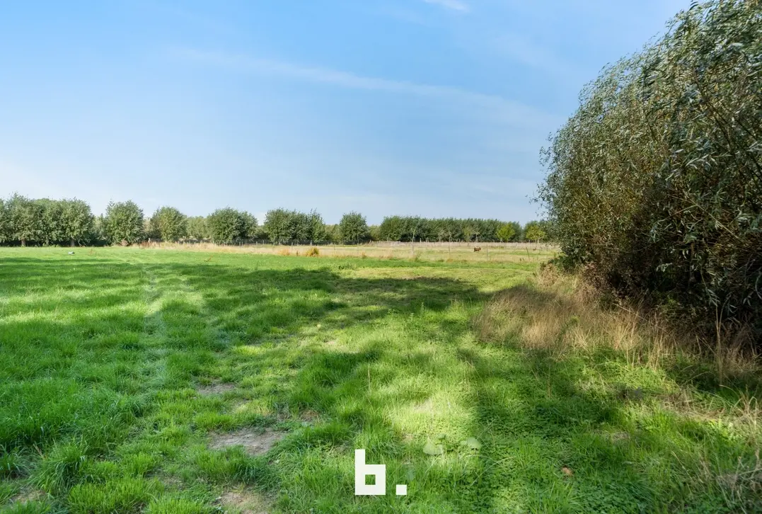 Uniek domein op 4,68 hectare met 4 vergunde vakantieunits - Brugge