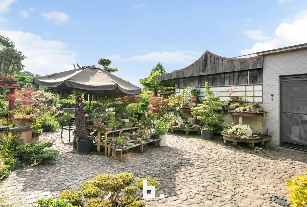 Brugsesteenweg 386, 8520 Kuurne villa te koop in kuurne, unieke tuin, japanse tuin kuurne