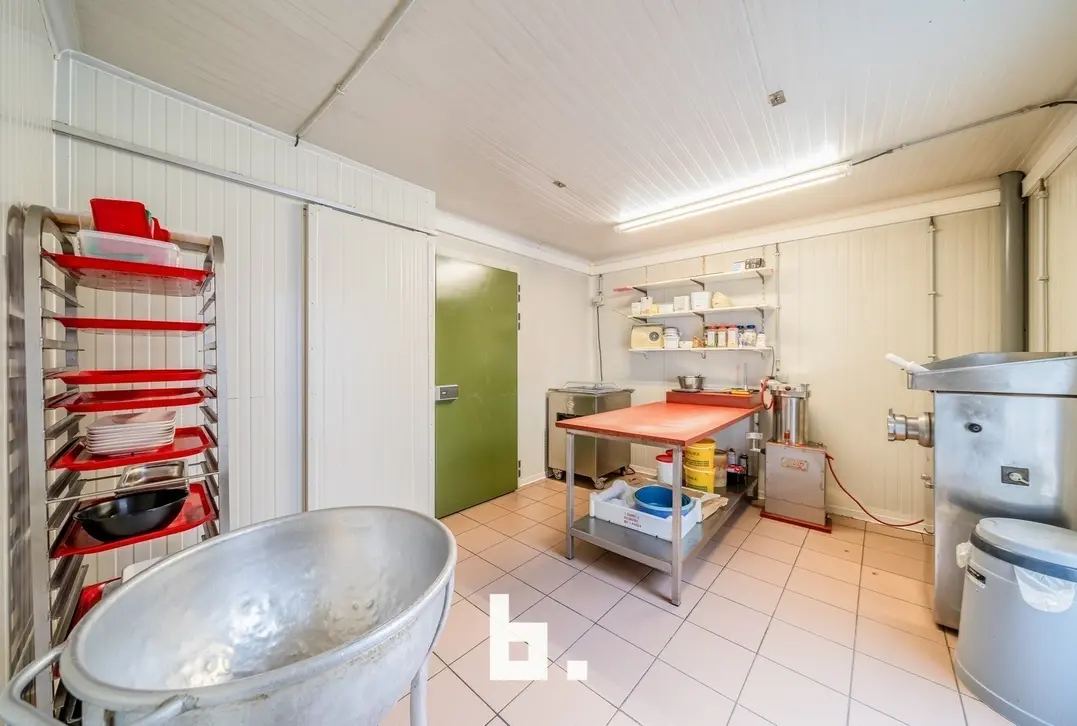Grote woonst met atelier  - Roeselare