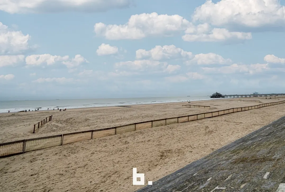 Handelspand te koop – topligging aan de Zeedijk in Blankenberge - Blankenberge