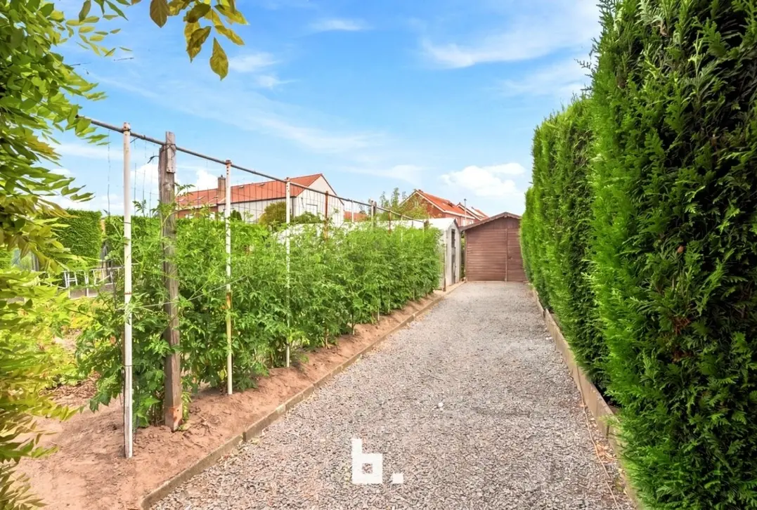 Te renoveren halfopen bebouwing met 3 garages op een perceel van 668 m² - Roeselare