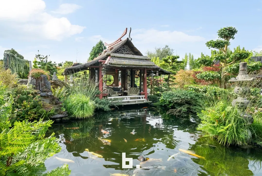 Brugsesteenweg 386, 8520 Kuurne villa te koop in kuurne, unieke tuin, japanse tuin kuurne