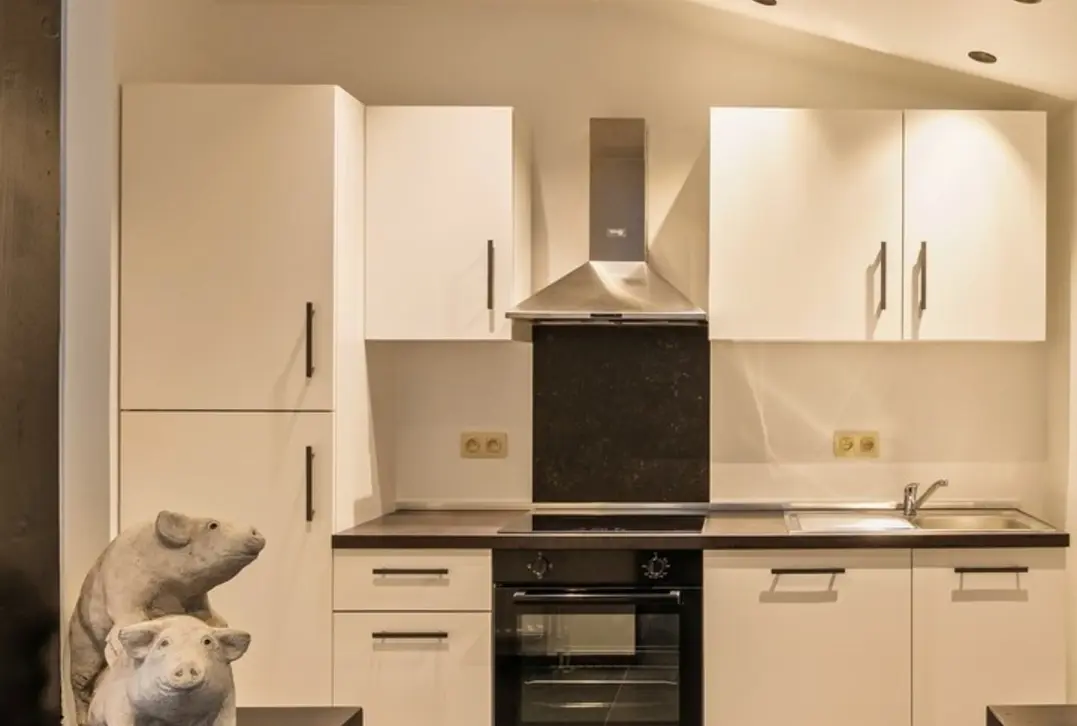 Mooie laagbouwvilla met zonnige tuin, dubbele garage en bijgebouw - Jabbeke