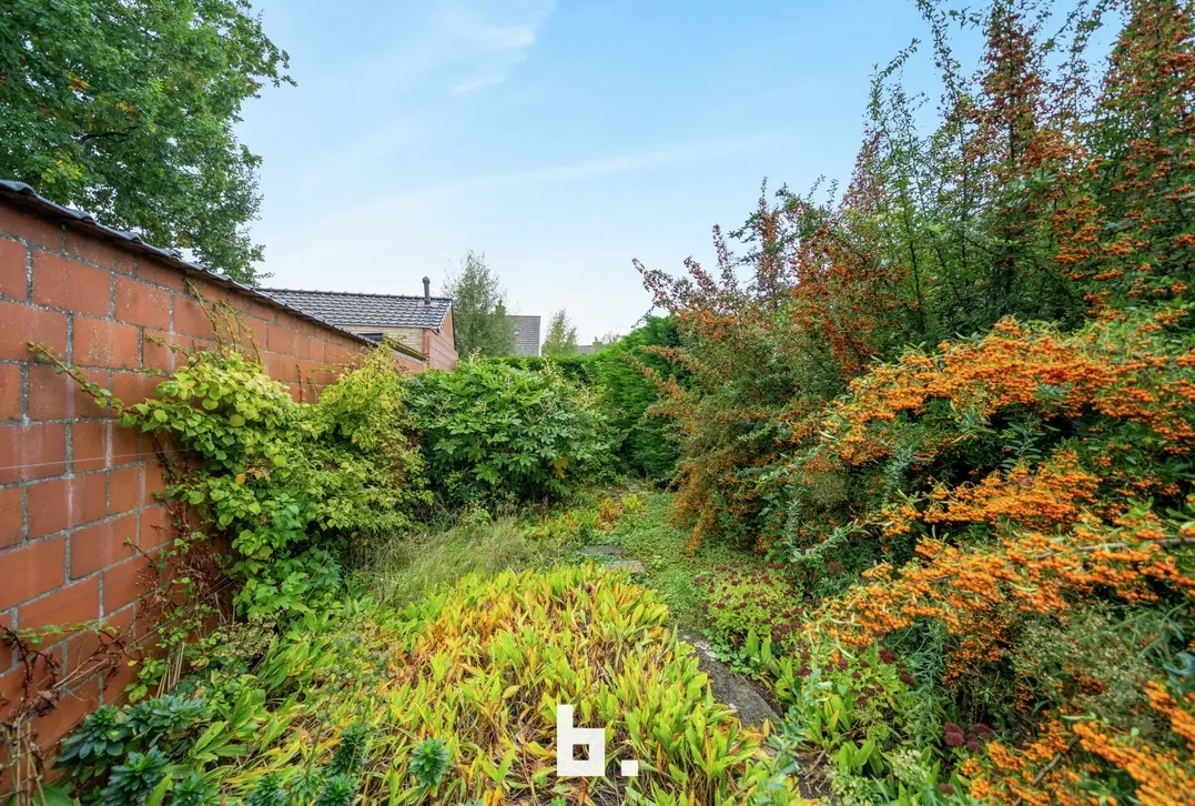 Energiezuinige gezinswoning met 3 slaapkamers en zonnige tuin te Brugge. - Brugge