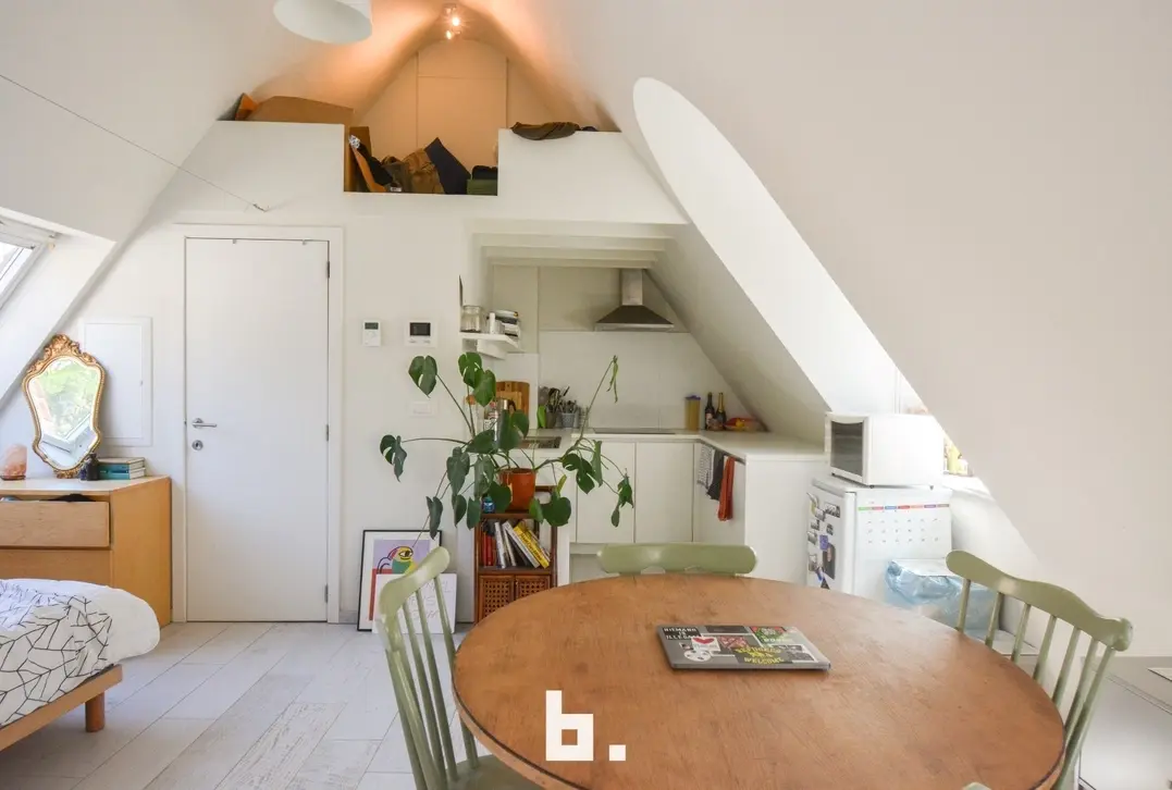 Prachtige instapklare studio/studentenkamer - GEEN DOMICILIE MOGELIJK!  - Brugge