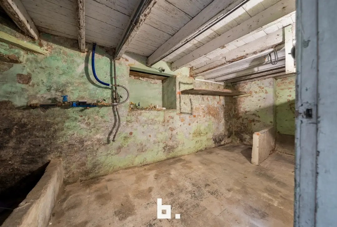 Volledig gerenoveerde woning (gezinswoning/kangoeroe/co-housing) - Sint-Andries
