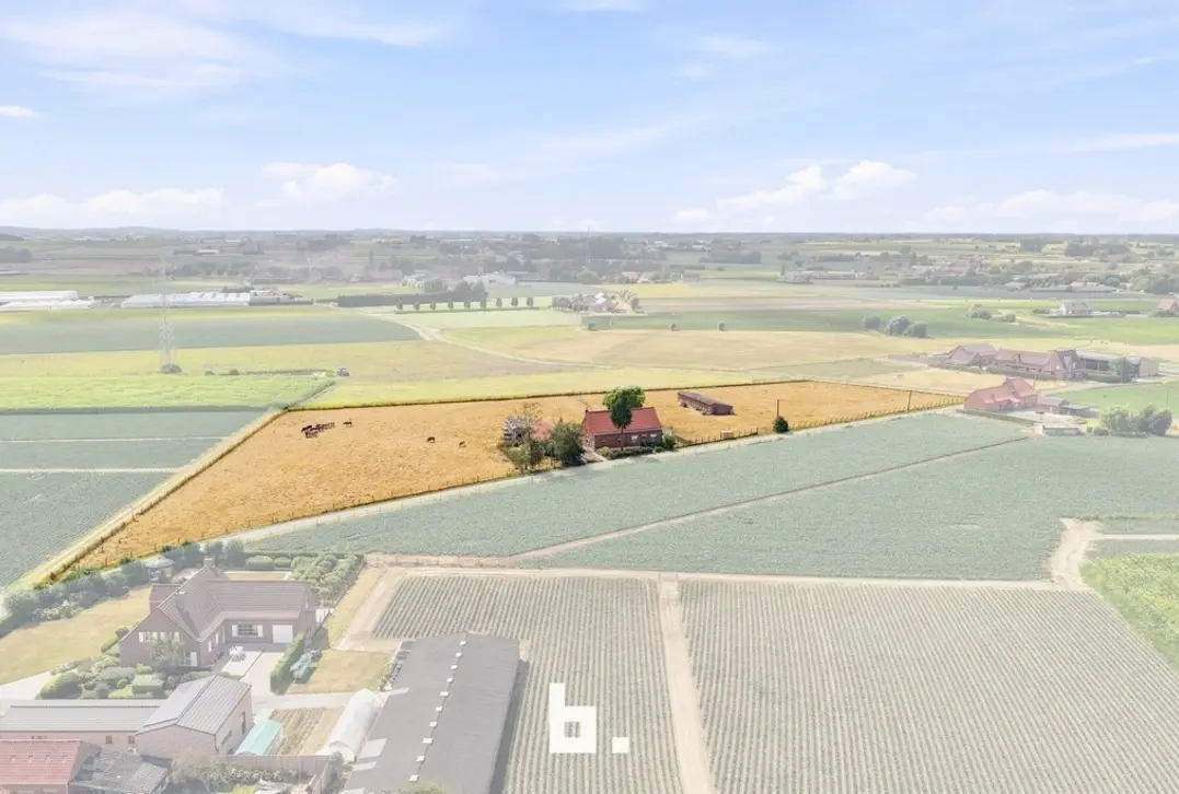 Prachtig gelegen hoeve met bijgebouwen op circa 1,85 hectare - Staden