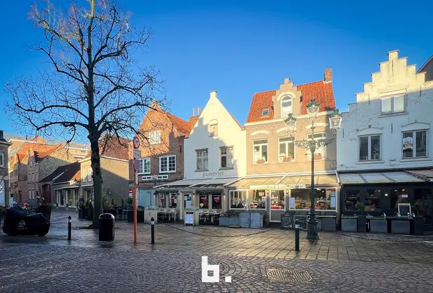 Dit veelzijdige handelspand biedt een unieke kans voor ondernemers dankzij de ideale ligging en uitgebreide faciliteiten.
Indeling:Gelijkvloers: Over