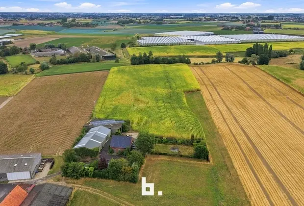Unieke landelijke eigendom met loods op ruim 2,3 hectare - Kortemark